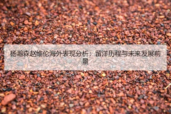 yang-han-sen-zhao-wei-lun-hai-wai-biao-xian-fen-xi-liu-yang-li-cheng-yu-wei-lai-fa-zhan-qian-jing-2-713.jpg